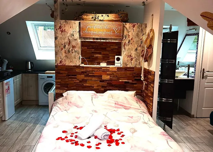 Hébergement de vacances La Plumeria *